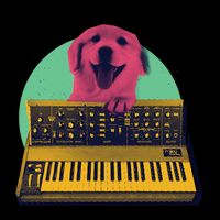 Dog Playing Piano Drawstring Bag