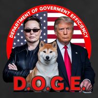 Department Of Government Efficiency D.O.G.E Doge Adult Drive Performance Visor