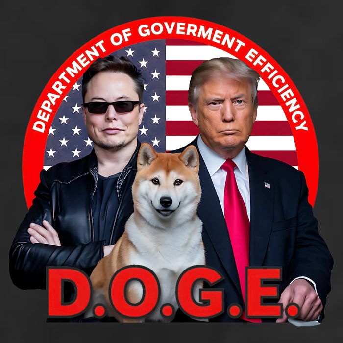Department Of Government Efficiency D.O.G.E Doge Adult Drive Performance Visor