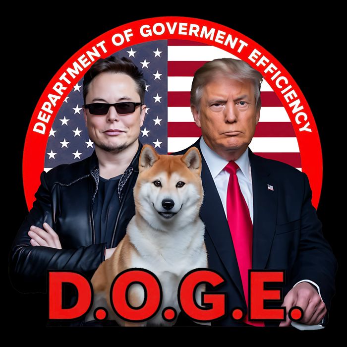 Department Of Government Efficiency D.O.G.E Doge Cropped Pullover Crew