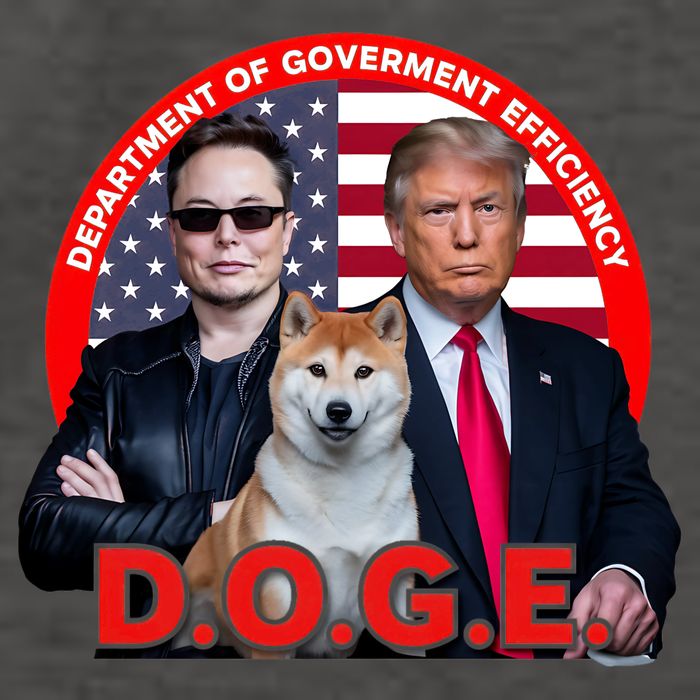 Department Of Government Efficiency D.O.G.E Doge Vector Backpack
