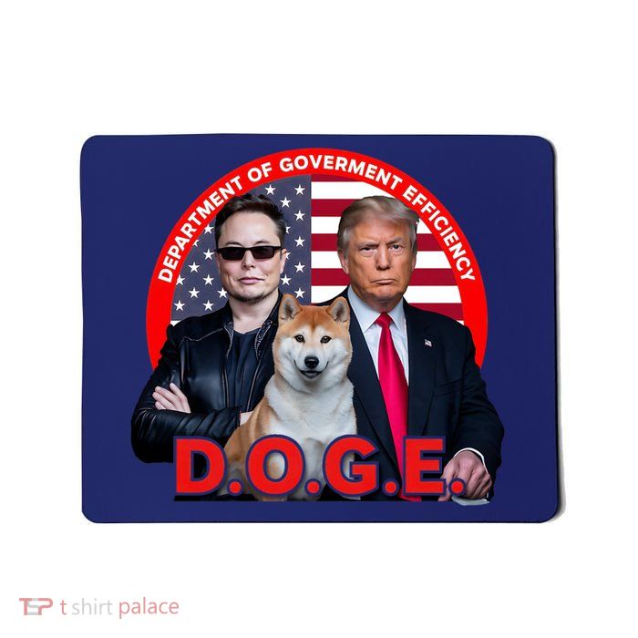 Department Of Government Efficiency D.O.G.E Doge Mousepad