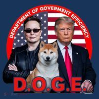 Department Of Government Efficiency D.O.G.E Doge Mousepad
