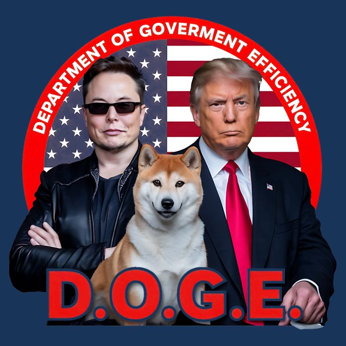 Department Of Government Efficiency D.O.G.E Doge Golf Towel