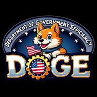 Department Of Government Efficiency Doge Toddler Hoodie