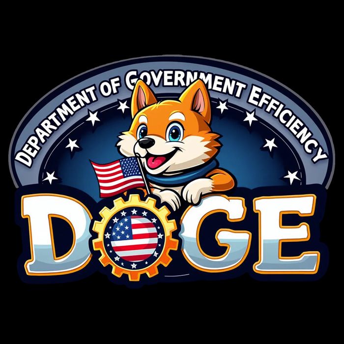 Department Of Government Efficiency Doge Toddler Hoodie