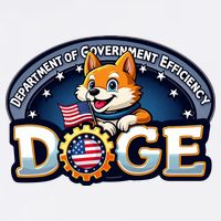Department Of Government Efficiency Doge Women's V-Neck T-Shirt