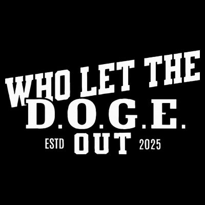 Dept Of Government Efficiency Who Let The D.O.G.E. Out T-Shirt