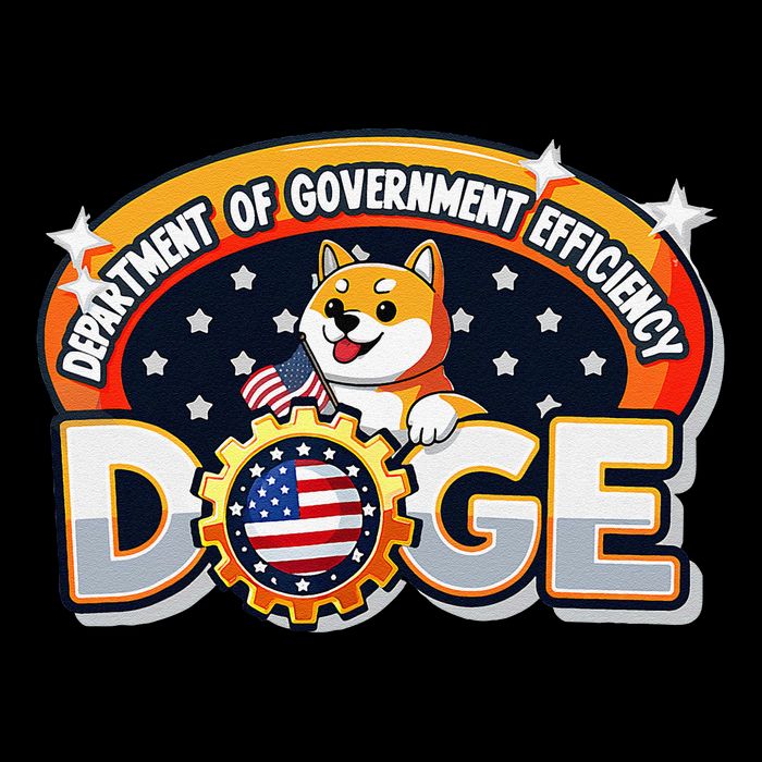 Department Of Government Efficiency Funny Doge Crypto Meme City Backpack