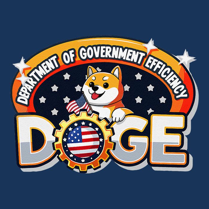 Department Of Government Efficiency Funny Doge Crypto Meme Infant Baby Jersey Bodysuit