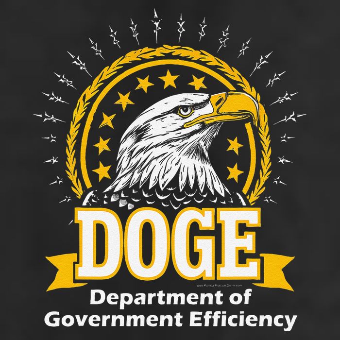 Department Of Government Efficiency Funny Trump 2024 Doge Cool Comfort Performance Bucket Hat