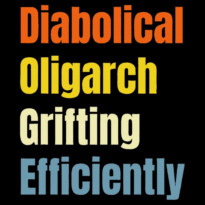 Diabolical Oligarch Grifting Efficiently Doge Wool Snapback Cap