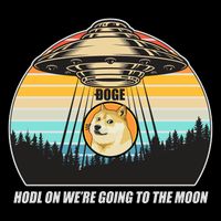 Doge Coin UFO Doge Crypto Currency To The Moon Wool Snapback Cap