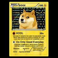 Doge HODL Card Crypto Currency Funny Mug