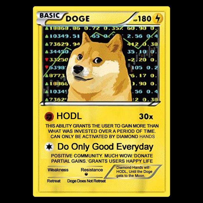 Doge HODL Card Crypto Currency Funny Mug