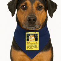 Doge HODL Card Crypto Currency Funny USA-Made Doggie Bandana