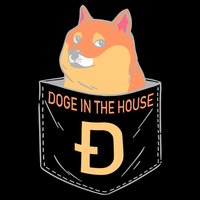 Doge In The House Pocket City Backpack