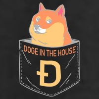 Doge In The House Pocket Adult Drive Performance Visor