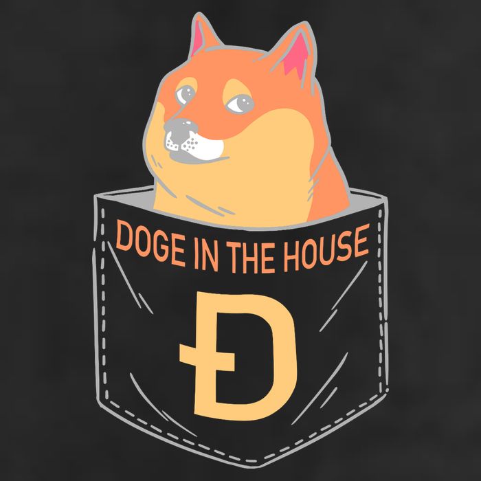 Doge In The House Pocket Adult Drive Performance Visor