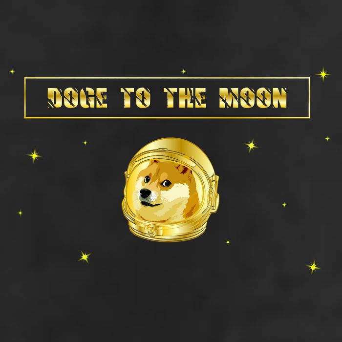 Doge To The Moon Dogecoin Crypto Currency Garment-Dyed Heavyweight T-Shirt