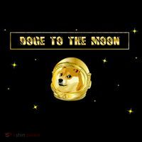 Doge To The Moon Dogecoin Crypto Currency T-Shirt