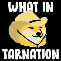 Doge What In Tarnation Hoodie
