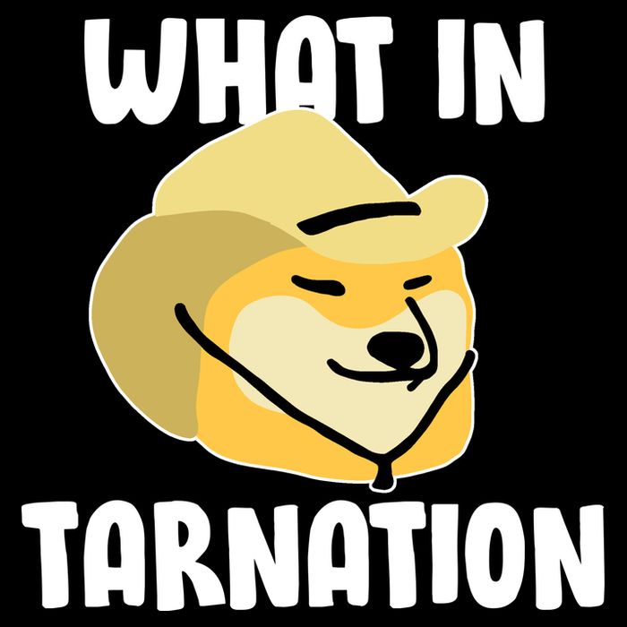 Doge What In Tarnation Hoodie