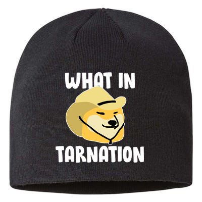 Doge What In Tarnation Sustainable Beanie
