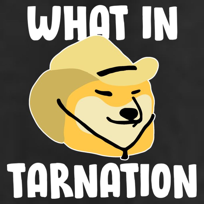 Doge What In Tarnation Tumbler