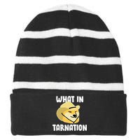 Doge What In Tarnation Striped Beanie with Solid Band