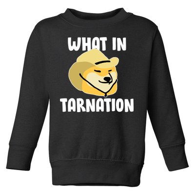 Doge What In Tarnation Toddler Sweatshirt