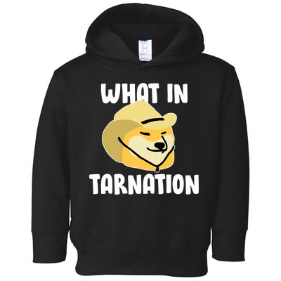 Doge What In Tarnation Toddler Hoodie