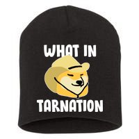 Doge What In Tarnation Short Acrylic Beanie