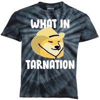 Doge What In Tarnation Kids Tie-Dye T-Shirt