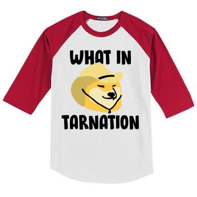 Doge What In Tarnation Kids Colorblock Raglan Jersey