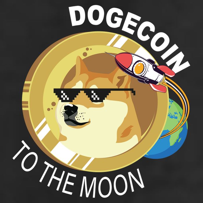 DogeCoin To The Moon Adult Drive Performance Visor