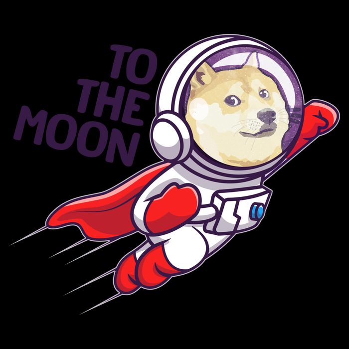 Dogecoin To The Moon Coin Crypto Currency Super Astronaut 16oz Travel Tumbler