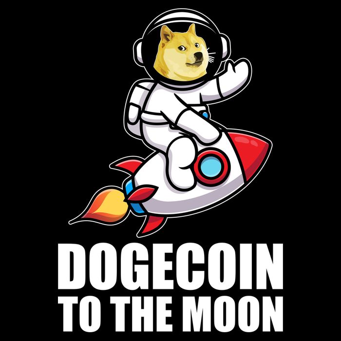 DogeCoin To The Moon Doge Crypto Hoodie