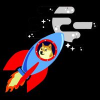 Dogecoin To the Moon Hodl Crypto Currency Flatbill Hat