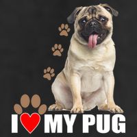 Dogs - I Love My Pug 7 Panel Mesh Trucker Snapback Hat