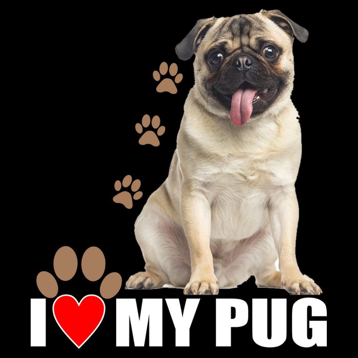 Dogs - I Love My Pug 16 in Basic Backpack