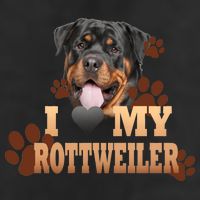 Dogs - I Love My Rottweiler 11oz C Handle Ceramic Mug