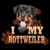 Dogs - I Love My Rottweiler 16 in Basic Backpack