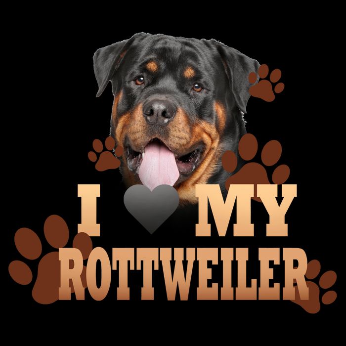 Dogs - I Love My Rottweiler Toddler Hoodie