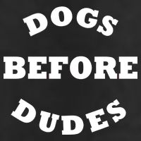 Dogs Before Dudes Funny Saying Adult Drive Performance Visor