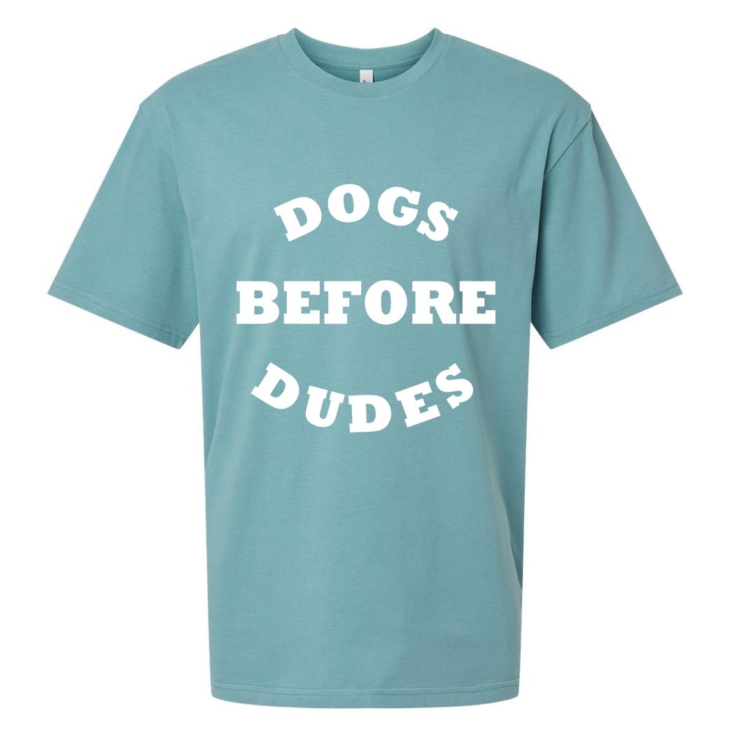 Dogs Before Dudes Funny Saying Sueded Cloud Jersey T-Shirt