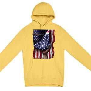 Day Of Independence Us Flag Baryonyx Meaningful Gift Premium Pullover Hoodie