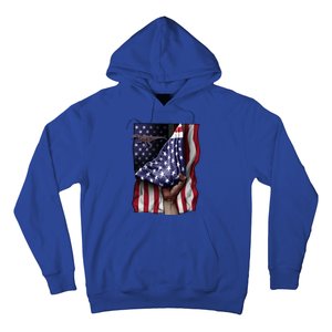 Day Of Independence Us Flag Baryonyx Meaningful Gift Hoodie