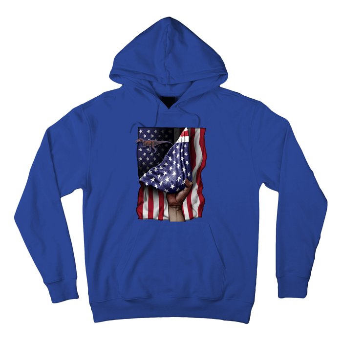 Day Of Independence Us Flag Baryonyx Meaningful Gift Hoodie