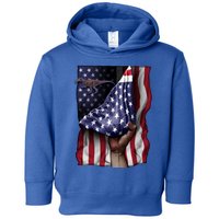 Day Of Independence Us Flag Baryonyx Meaningful Gift Toddler Hoodie